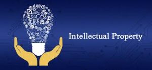 What Are Intellectual Property Rights